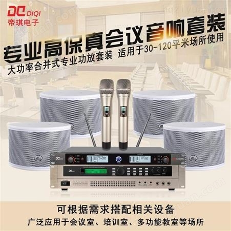 帝琪无线麦克风话筒国内会议系统产品音响扩声系统方案一拖二无线台式会议话筒DI-3802A