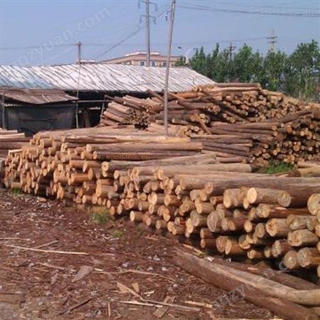 上海杉木桩施工 防腐杉木桩销售 胜洁木业