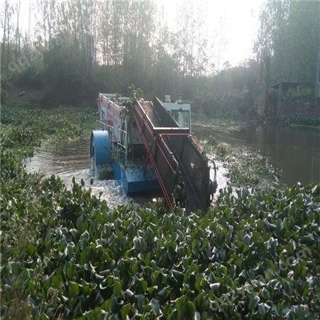 清洁船自动打捞水浮莲 全自动水面捞草船