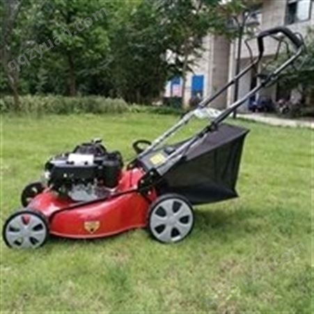 汇鑫厂销GXV160手推式割草机 20寸手推自走小型家用切草车