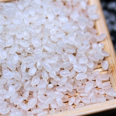 餐厅常用大米5kg 东北黑龙江珍珠米10斤装 连锁餐饮大米供应商~和粮农业