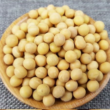 东北特色农家大豆订制批发 有机黄豆400g/盒代加工 和粮农业自有种植基地