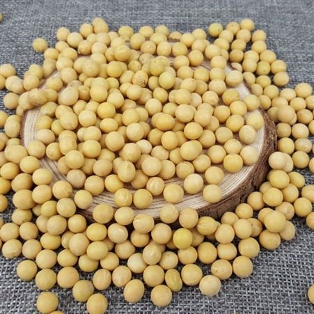 东北特色农家大豆订制批发 有机黄豆400g/盒代加工 和粮农业自有种植基地
