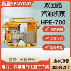 高低压双回路汽油机泵HPE-700汽油机液压泵双回路电动泵配压力表