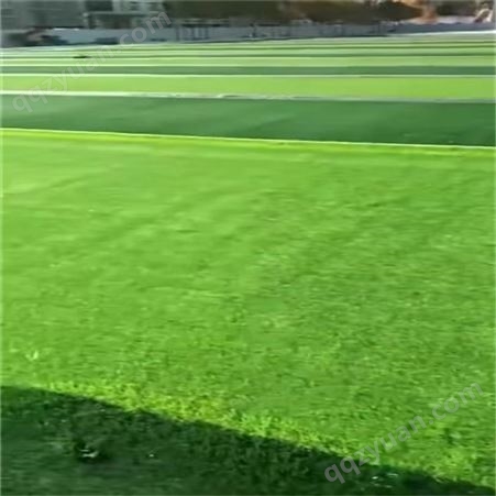 环保13mm幼儿园学校epdm塑胶跑道 足球场草坪色彩鲜艳