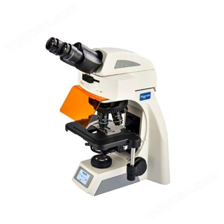 NE620正置荧光显微镜