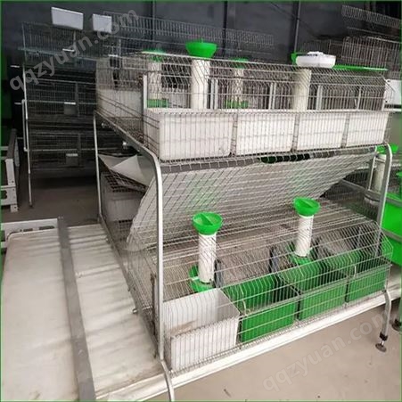 阶梯式热镀锌兔笼 全自动养殖笼 自动清粪设备