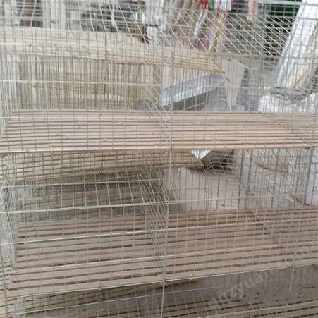 阶梯式热镀锌兔笼 全自动养殖笼 自动清粪设备