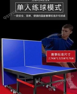 折叠式乒乓球台 移动式乒乓球桌 加厚钢管支架使用时间长
