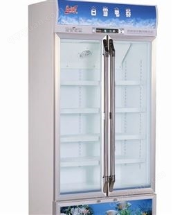 振宏厨具 饮料柜风冷立式冰箱冰柜啤酒超市 商用冷藏展示柜