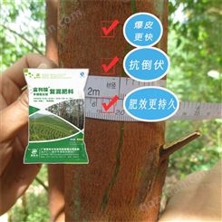巨尾桉树肥专用肥 富利桉 桉树专业用肥采购 惠旺尔复合肥厂