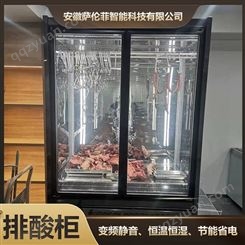 门牛肉熟成柜 商用展示冷冻排酸柜 保鲜储藏效果好