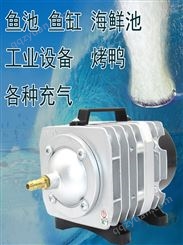 海利电磁式空气压缩机ACO318冲氧泵鱼池气泵鱼缸增氧机烤鸭用充气