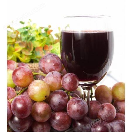 浓缩汁红葡萄浓缩汁西班牙进口果汁原料