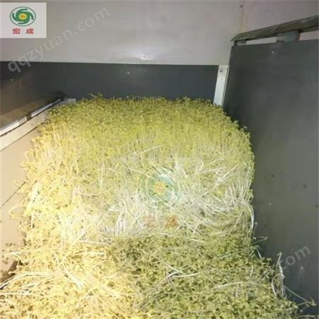 豆芽机哪个牌子质量好  宏成豆制品机械 专业快速