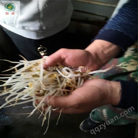 宏成豆制品机械筐式豆芽机 自动淋水育苗周期短