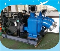 大型柴油抽水泵 便携式柴油抽水泵报价 咏晟
