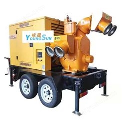 12寸应急移动泵车 便携式移动式排污泵 咏晟