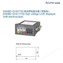 DXN8D-Q1S(T1S)高压带电显示器(带验电)