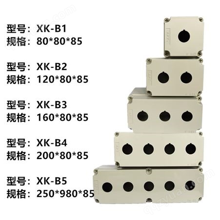 西门子APT 5孔按钮盒明装控制箱 XK-B5/-Y XK-B5/-N IP65